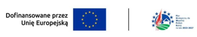 Fundusze Europejskie